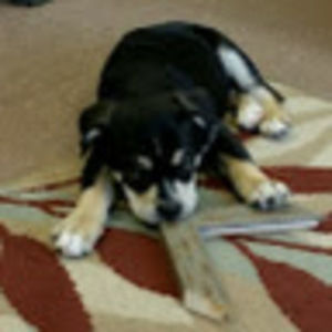 Meet your Posher, Coreen